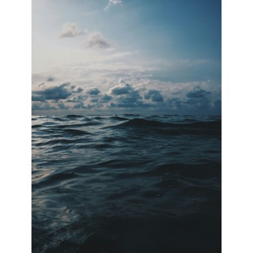 at the sea