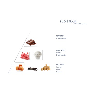 Bûche Pralin