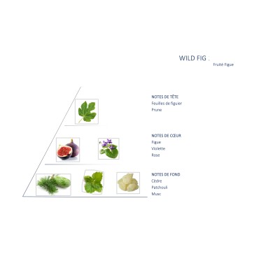 Wild Fig Blend for Vaporizer
