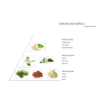Ginger and Neroli Blend for Diffuser
