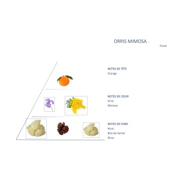 Orris Mimosa Blend for Diffuser