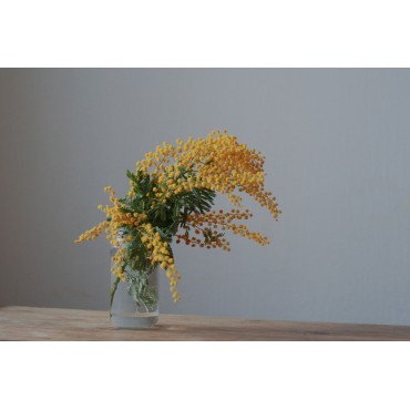 Orris Mimosa Blend for...