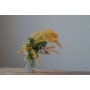 Orris Mimosa Blend for...