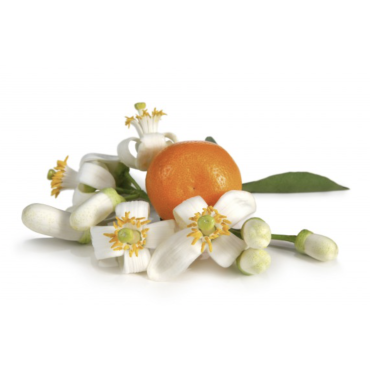 Orange Blossom Blend for...