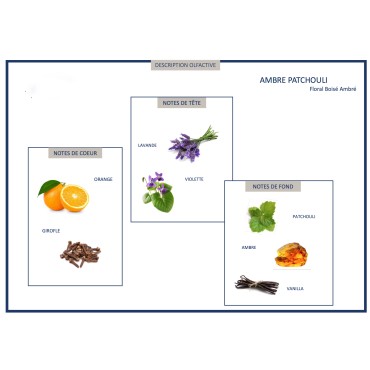 Ambre Patchouli pour Diffuseur