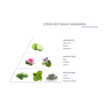 Citron vert basilic mandarine Diffuseur