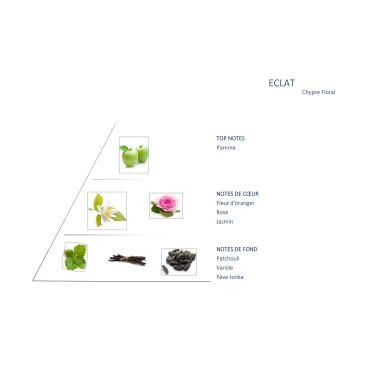 Esclandre Blend for Diffuser
