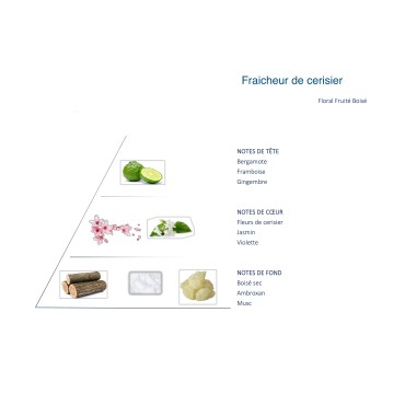 Cherry Freshness Blend for Diffuser