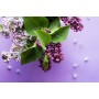 Lilac Blend for Diffuser