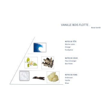 Vanille Bois Flotté pour Diffuseur
