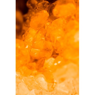 Precious Amber pour...