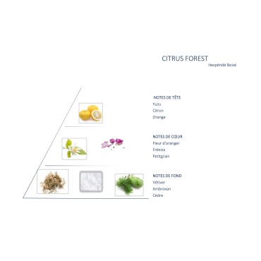 Citrus Forest Blend for Vaporizer