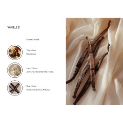 Vanille 21