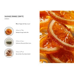 Wild Candied Orange
