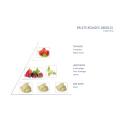Fruits Rouges pour Vaporisateur