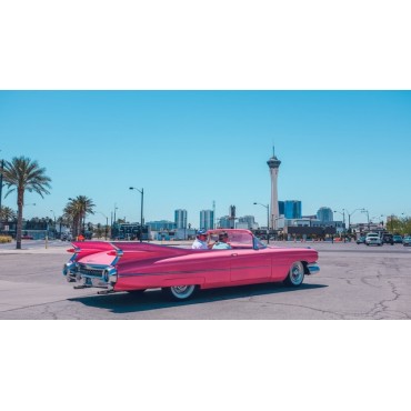 Lady Vegas & Million
