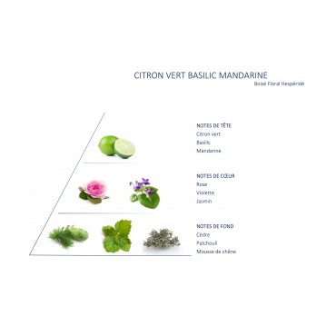 Citron Vert Basilic Mandarine