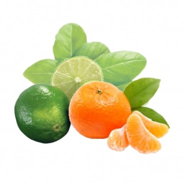 Lime, basil, mandarin