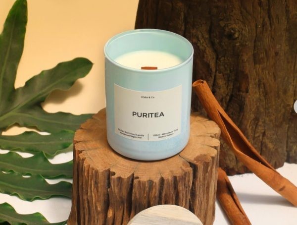 Ipsum cursus vestibulum at interdum Vivamus